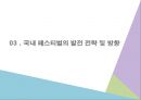 한국의 대중음악페스티벌 -혼란기인가, 황금기인가 21페이지