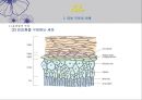 메디컬 스킨케어 6페이지