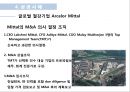 M & A 성공.실패 사례 36페이지