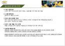 마케팅 현지화 전략 사례 LG전자 TV 인도 진출 성공사례, 쉐보레. BMW 현지화 사례 15페이지