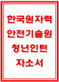 한국원자력안전기술원자소서 한국원자력안전기술원자기소개서 한국원자력안전기술원 청년인턴자소서 한국원자력안전기술원 청년인턴 자기소개서 한국원자력안전기술원 합격자소서 한국원자력안전기술원 1페이지