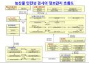 식품안전성과 안전관리체계 27페이지