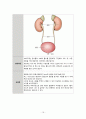 성인간호실습CASE[Lumbar Fx] A+받은 자료입니다!! 21페이지