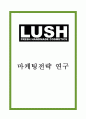 LUSH 러쉬 기업분석과 제품분석및 LUSH 러쉬 마케팅 SWOT,STP,7P전략분석과 향후 마케팅전략 제언 1페이지