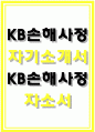 KB손해사정자기소개서자소서 KB손해사정자기소개서 KB손해사정자소서 KB손해사정 합격자기소개서 KB손해사정 장기보상 자소서 KB손해사정 재물배상 자기소개서 KB손해사정자소서 1페이지