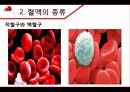 혈액 - 구성과 종류, 기능, 혈관, 순환, 혈액형, 질병, 헌혈 7페이지