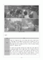 은평구 종합사회복지관 꿈자람 지역아동센터 - 저소득층 가정 아동의 가족 친구에 대한 친밀감 향상 프로그램 - “우리 친하게 지내자!” 18페이지