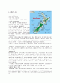 [비교발전행정론] 뉴질랜드와 급진적인 행정개혁 3페이지