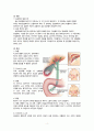 성인간호학 실습 담관염(cholangitis) 케이스스터디 자료 A+ 4페이지