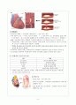 [간호학] Myocardial Infarction (심근경색증) 4페이지