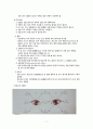 [간호학] 눈의 구조와 기능 및 건강사정 7페이지