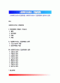 [사회복지서비스전달체계] 사회복지서비스 전달체계의 원칙과 분류 1페이지