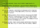 아동기 발달장애 [품행장애 학습장애 반사회적 행동 공격성 학교공포증 소아우울증 소아정신분열증] 7페이지