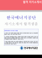 [2019년 한국에너지공단 자소서] 한국에너지공단 신입직원/청년인턴 자기소개서 합격샘플 1페이지