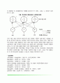 [감각기관] 감각과정(촉각 미각 후각 청각 시각과정 빛 수용기 색지각) 9페이지