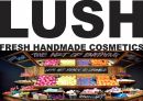 LUSH 러쉬 브랜드 성공요인과 마케팅 SWOT STP 4P 전략과 LUSH 다양한 마케팅사례연구및 LUSH 미래전략제언 PPT 1페이지