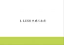 LUSH 러쉬 브랜드 성공요인과 마케팅 SWOT STP 4P 전략과 LUSH 다양한 마케팅사례연구및 LUSH 미래전략제언 PPT 4페이지