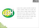 LUSH 러쉬 브랜드 성공요인과 마케팅 SWOT STP 4P 전략과 LUSH 다양한 마케팅사례연구및 LUSH 미래전략제언 PPT 5페이지