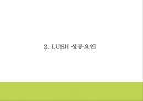LUSH 러쉬 브랜드 성공요인과 마케팅 SWOT STP 4P 전략과 LUSH 다양한 마케팅사례연구및 LUSH 미래전략제언 PPT 6페이지