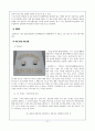 [고전문학개론] 시조(時調)분석 및 문화콘텐츠화 [어부단가 강호가도] 13페이지