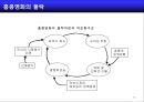 홍콩영화몰락에서 배우는 한국영화 발전전략 29페이지