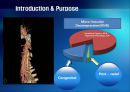 Carotid Angio CT에서 Jugular Vein Contrast Non Filling Method의 유용성 평가 3페이지