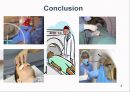 Computed Tomography(CT) Scan 시 공간선량 분포를 이용한 차폐체 효율성과 피폭선량에 대한 연구 18페이지