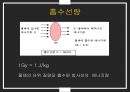 dosimeter 특성 및 사용방법 5페이지