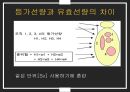 dosimeter 특성 및 사용방법 10페이지