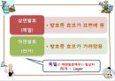 상면발효(에일)하면발효(라거)맥주 순수령한국맥주독일맥주비어가르텐 문화다양한 맥주 잔소시지 통조림 4페이지