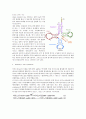 t RNA mRNA와 단백질 번역 2페이지