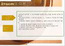 Supply Chain Management [SCM 기본 개념 등장배경 역사 중요성 필요성 목적 효과 특성 구조 성격 이론 도구적 관점 기술요소 구축전략 추진 사례] 19페이지