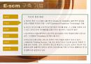 Supply Chain Management [SCM 기본 개념 등장배경 역사 중요성 필요성 목적 효과 특성 구조 성격 이론 도구적 관점 기술요소 구축전략 추진 사례] 41페이지