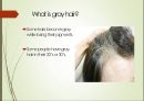 How to dye your gray hair (발표대본포함) 3페이지