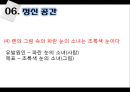 [국어학 개론] 인지의미론 [은유 환유 영상도식 다의 정신 공간 Langacker의 인지 문법] 84페이지