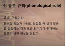 언어의 소리 체계 - 음운론 16페이지