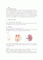 급성 신우신염 (acute pyelonephritis APN) 케이스 스터디 (간호과정4개포함) 1페이지