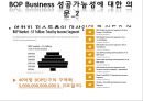 Bottom of Pyramid Business 15페이지