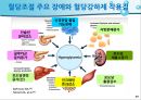 당뇨병 환자 자가관리 39페이지