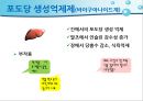 당뇨병 환자 자가관리 42페이지