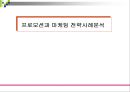 프로모션과 마케팅 전략사례분석 1페이지