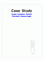 Acute Ischemic Stroke 간호과정 case study 1페이지