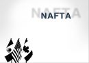 NAFTANAFTA-미국의 노동자노동조건의 약화고용의 양극화 심화일자리 소멸비정규직 증가소득불평등 증가사회복지 후퇴 1페이지