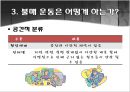 불매운동이란불매운동 실천사례불매운동의 유래사회적 딜레마불매 운동의 유형 9페이지