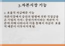 한국자본시장금융시장 기능금융시장 분류장기금융시장금융시장이란금융상품의 가격결정 24페이지