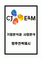 CJ E&M 기업분석과 SWOT분석및 CJ E&M 사업분야별 특성과 성과분석및 CJ E&M 미래전망과 향후전략제시 1페이지
