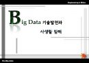 Big Data 기술발전과  사생활 침해 1페이지