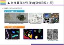 미세플라스틱 문제와 해결방안 [마이크로비즈미세플라스틱플라스틱Microplastics플라스틱 순환] 5페이지