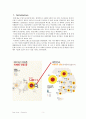 [A+노인] Dementia(치매) Case Study 낙상위험성 수면장애 문헌고찰 추천 3페이지