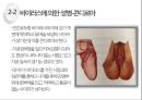 성병 - 각종 성병과 예방법 종류들에 관한 ppt 발표자료.pptx 14페이지